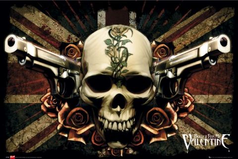 BFMV-Flag-LP1189.jpg